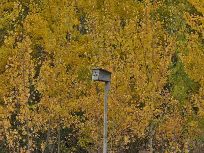 g10/04/1101204/3/168347688.2EvnjAQe.jpg