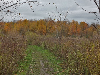 DSCF2762.JPG