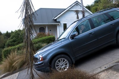 World's steepest street, Dunedin, New Zealand 