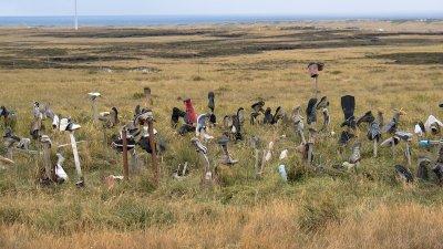 Boot hill, Stanley