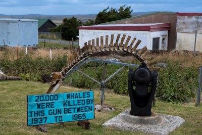Stanley whale bone museum