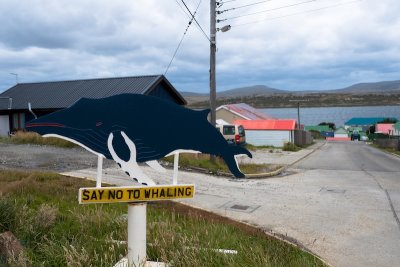 Stanley whale bone museum