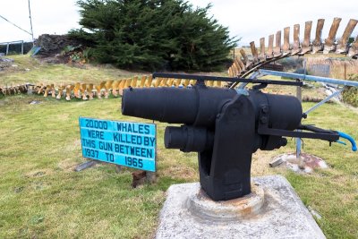Stanley whale bone museum