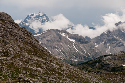 DSC_0879.jpg