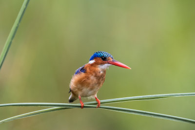 _F5D7722.jpg