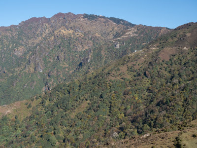 _A300134.jpg