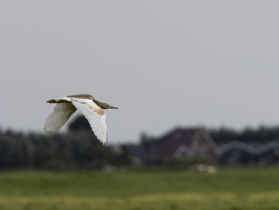g10/04/1194004/3/166091322.DG1NDc6R.jpg