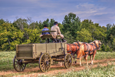 Confederate Supply Wagon, Chickamauga