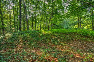 Gilgal Church, Confederate Field Works