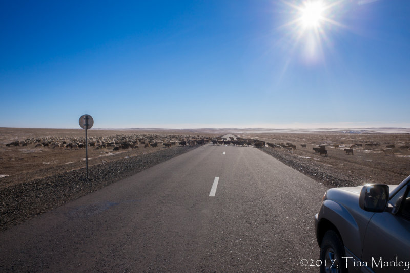 Desert Traffic Jam