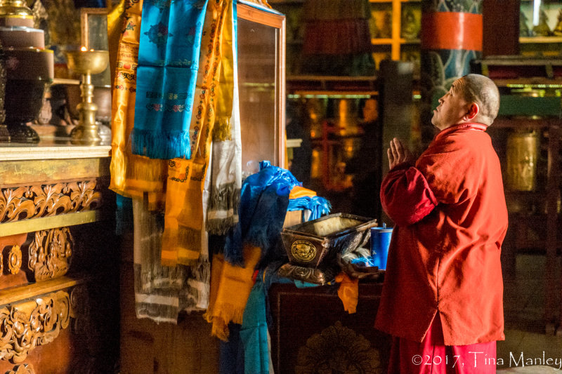 Praying Monk