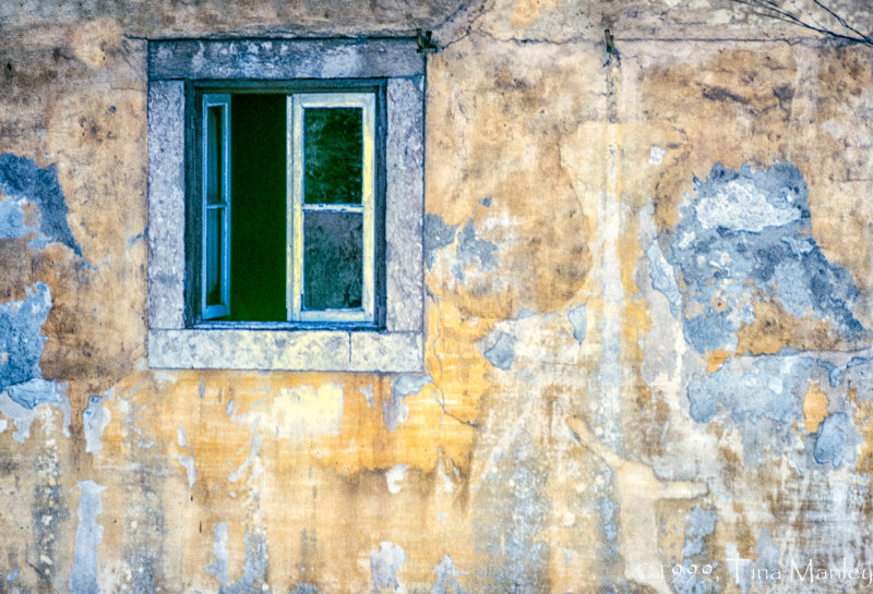 Window