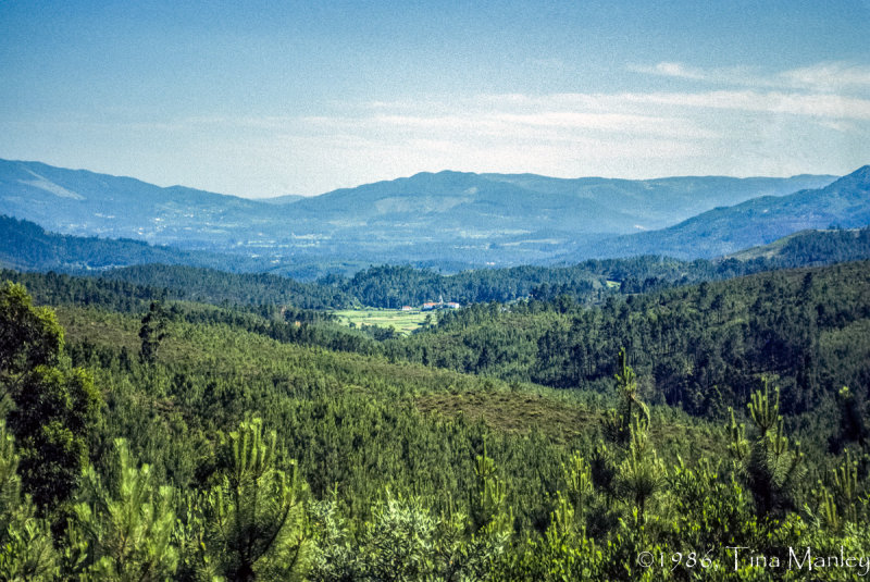 Portuguese Valley