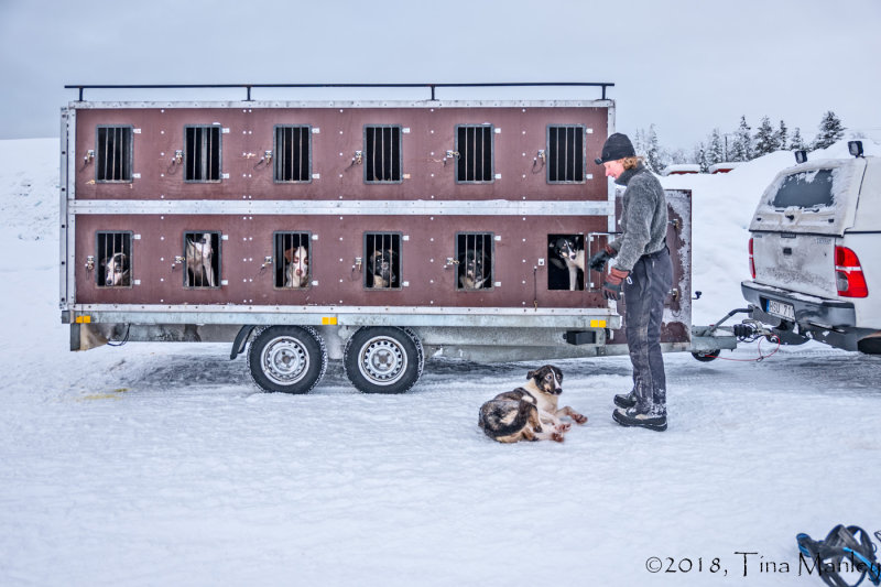 Husky Transport