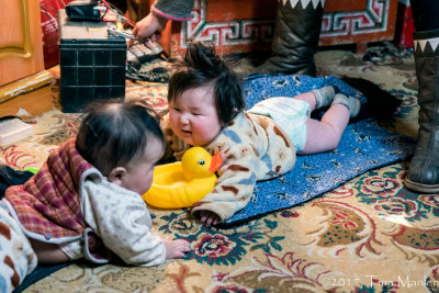 Mongolian Babies