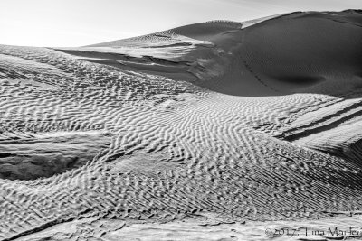 Sand Dunes of Gobi Desert