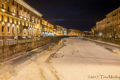 Frozen Canal with Ducks
