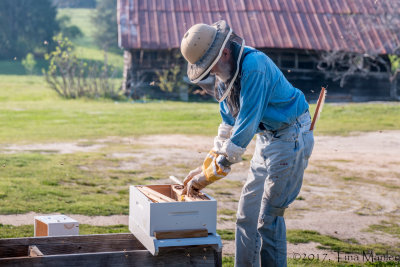 Tacking Queen Box in Place