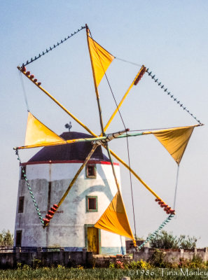 Windmill with Rooster