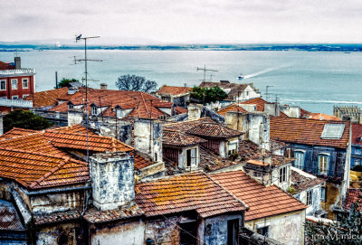 Tagus River Roofs