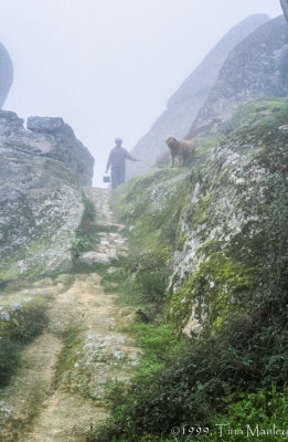 Farmer and Dog in the Fog