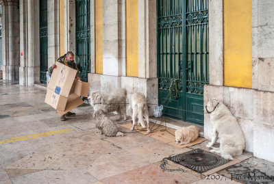 Homeless with Dogs