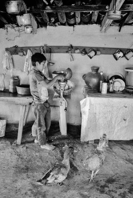 Grinding Corn