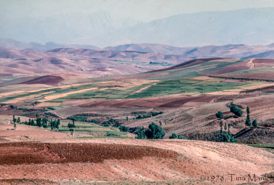 Iranian Fields