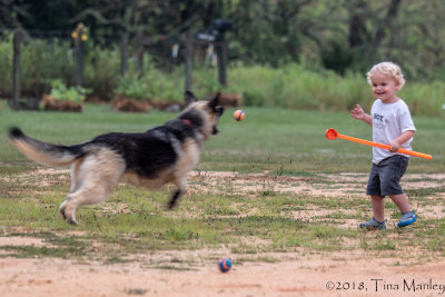 Jazz and Red, Playing Ball