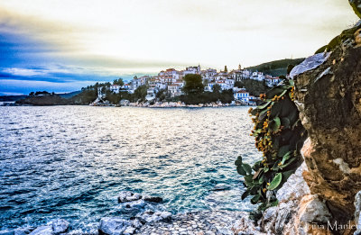 Skiathos and Cactus