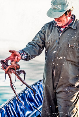 Fisherman with Octopus