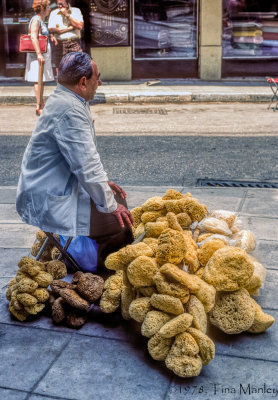 Sponge Seller