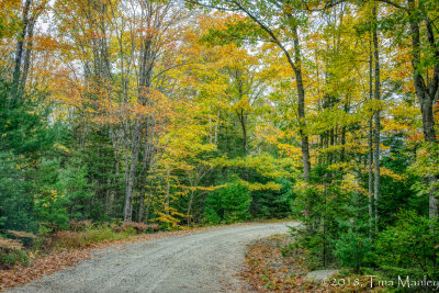 Backroads of Maine