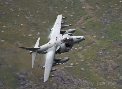 RAF Harrier at the Ogwen Valley