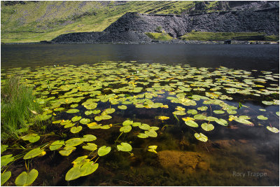 Llyn Cwmorthin