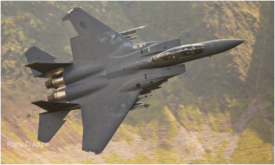 f15.jpg