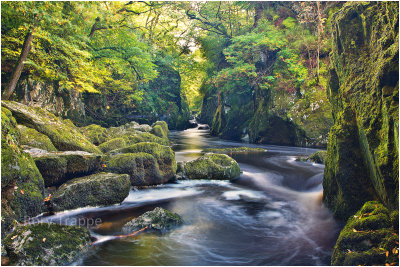 Fairy Glen - Betws y coed