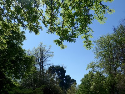 El Retiro Park
