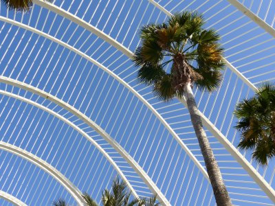 City of Arts and Sciences 