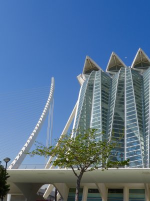 City of Arts and Sciences 