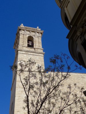 P1040353.jpg