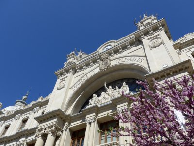 P1040320.jpg