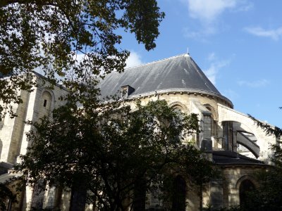 P1050755.jpg