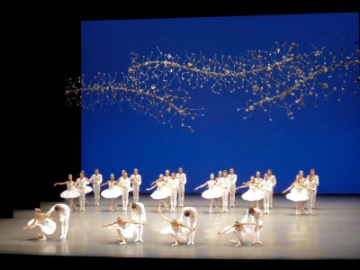 Paris Opera Ballet