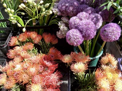 New York Flower District
