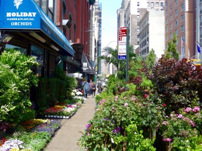 New York Flower District