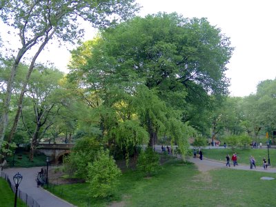Central Park
