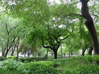 Madison Square Park