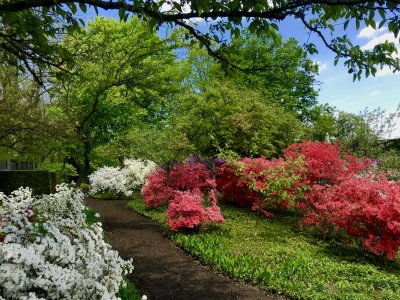 Ladew Topiary Gardens 