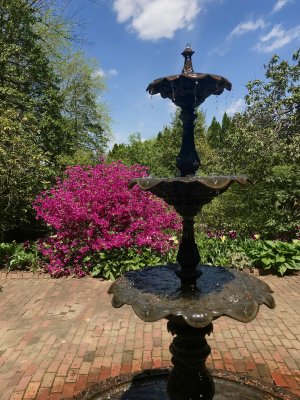 Ladew Topiary Gardens 